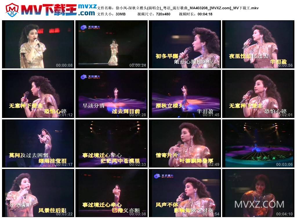 徐小凤-深秋立楼头(演唱会)_粤语_流行歌曲_MA403208